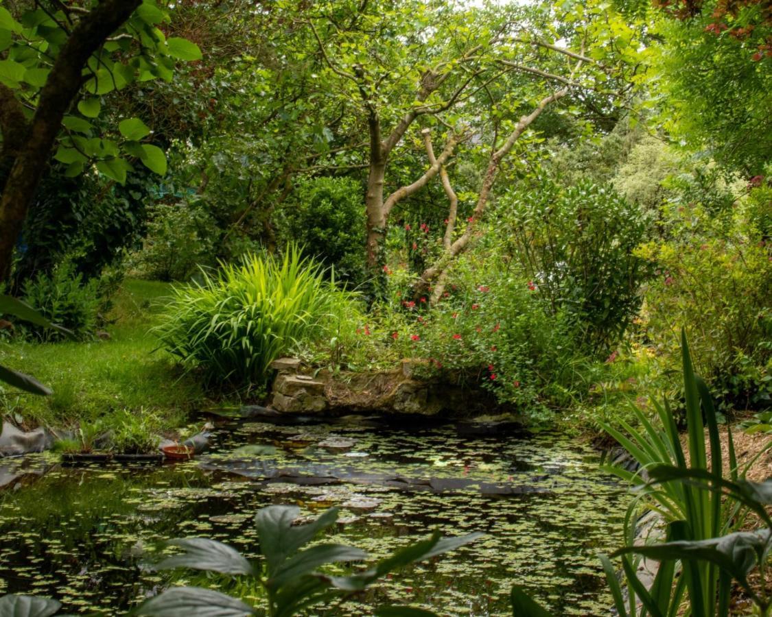 Une Suite Au Jardin Hyenville Exteriör bild